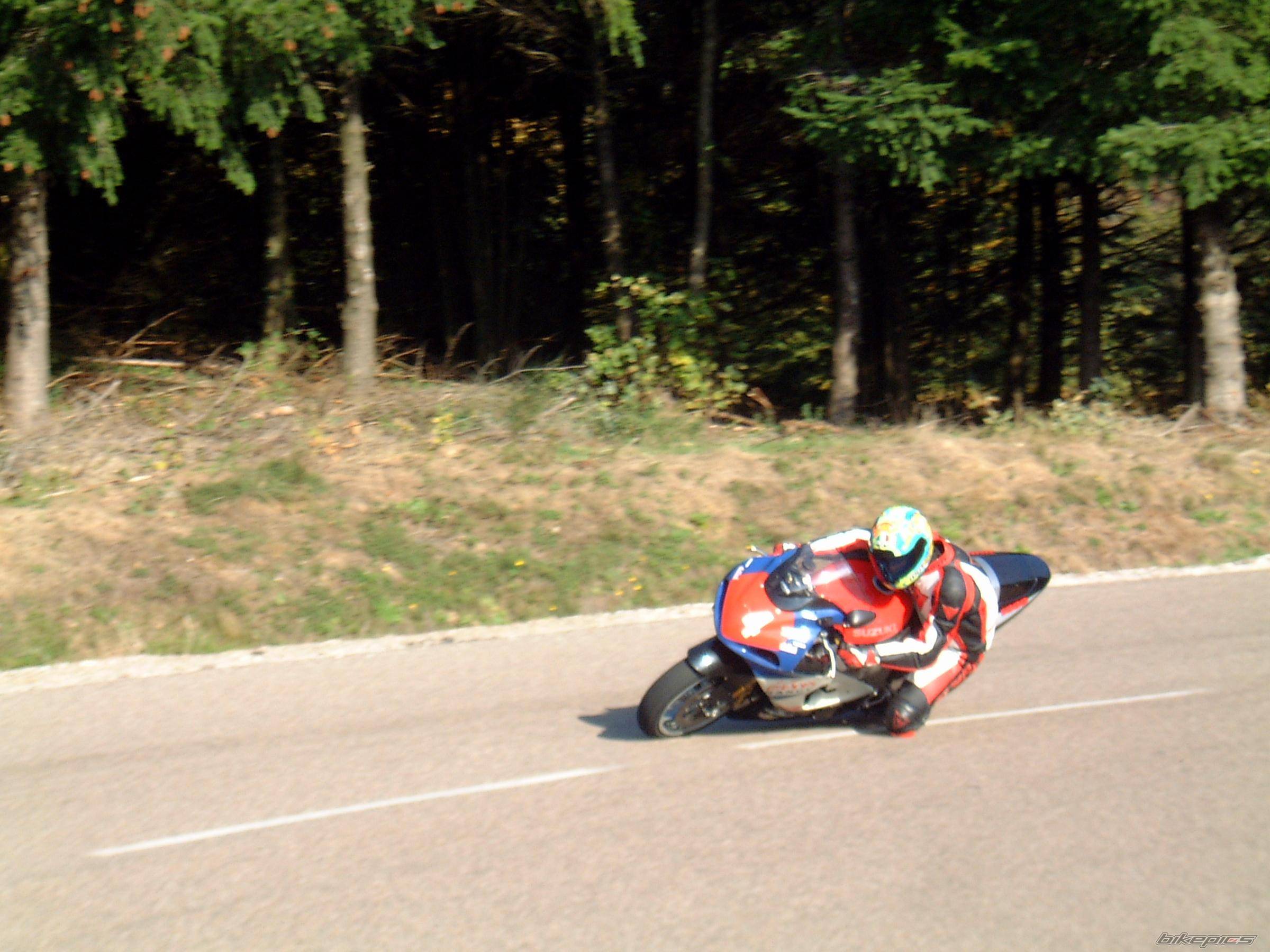 Photo 239231
