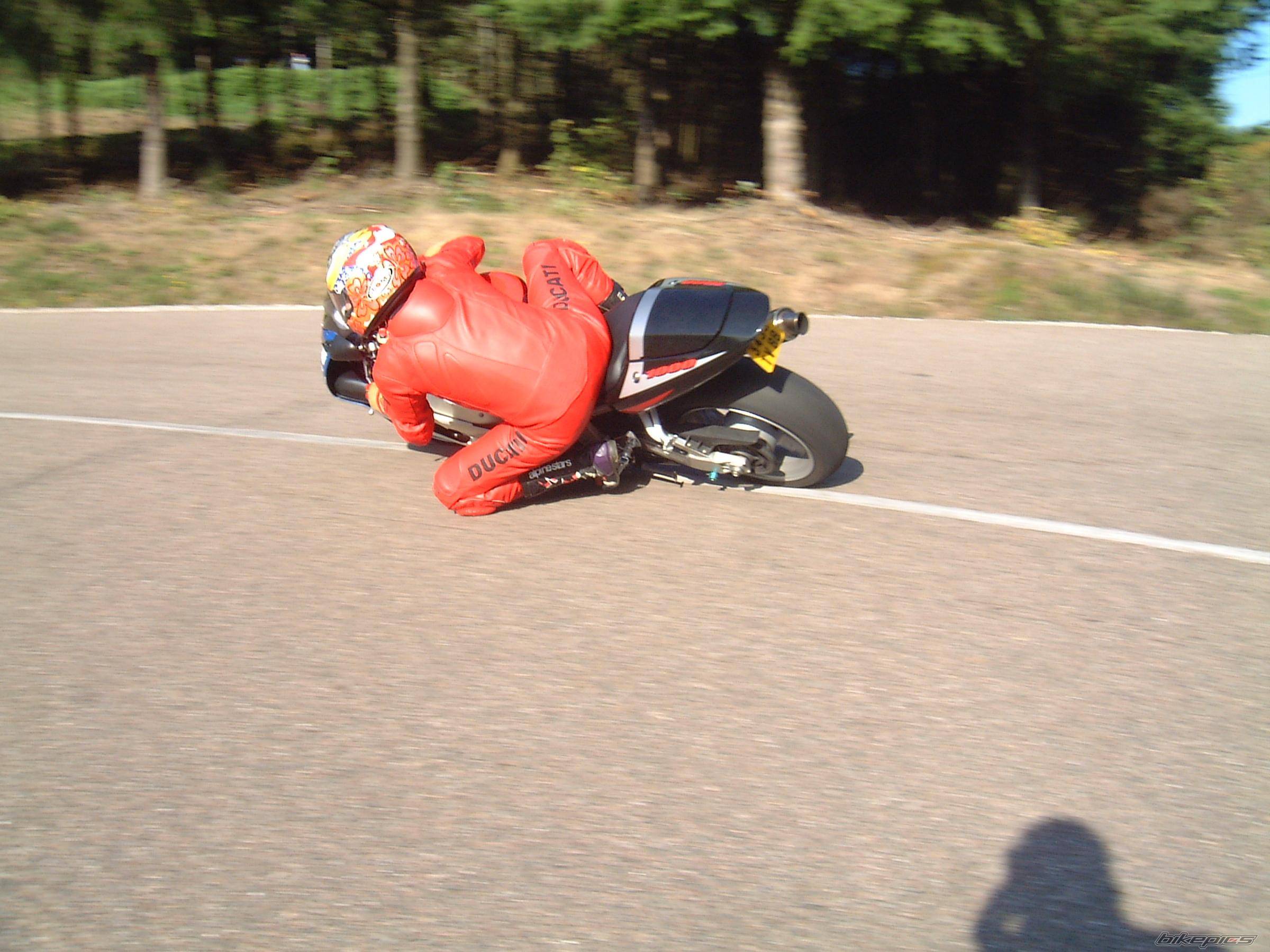 Photo 239232