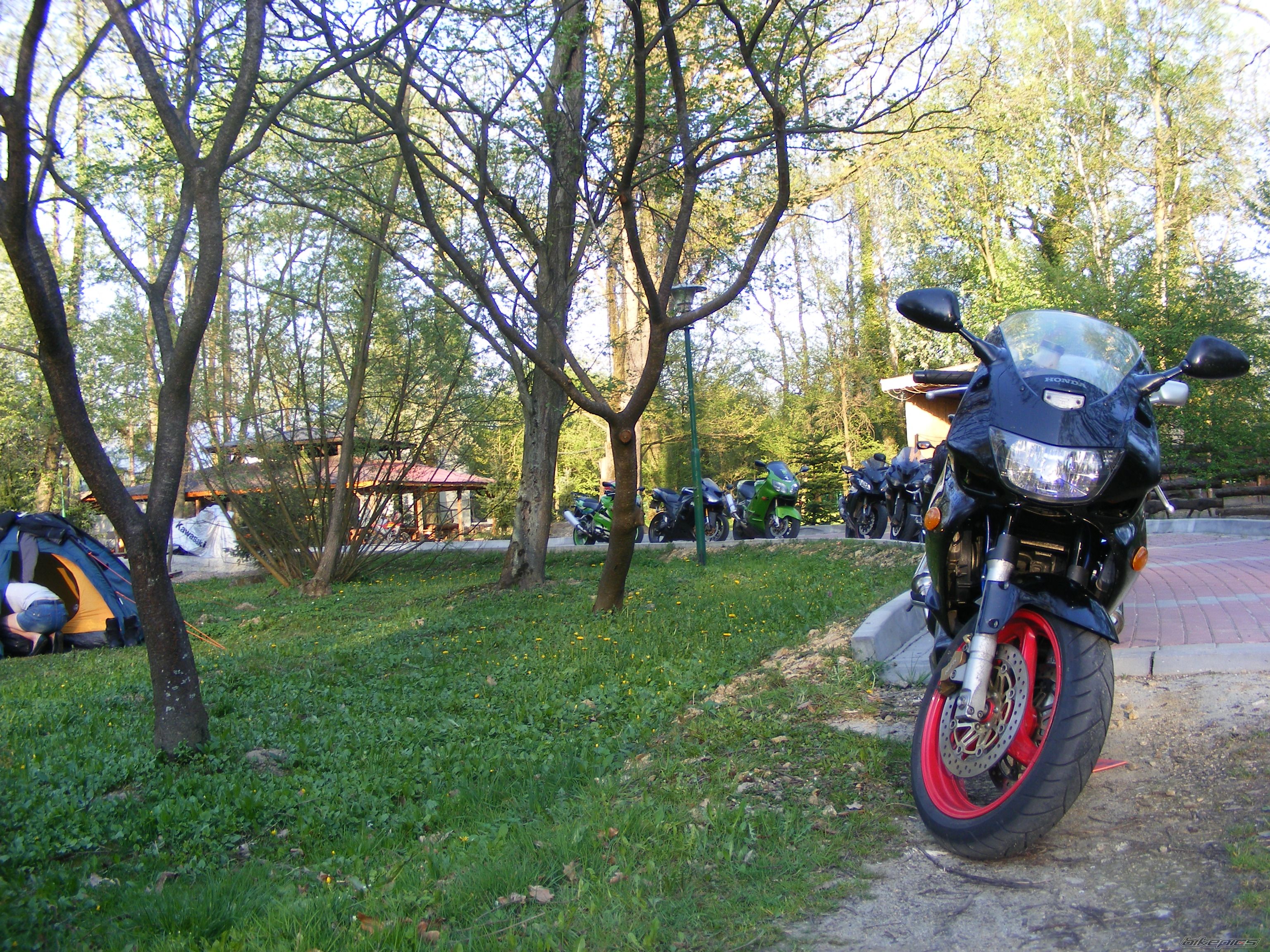 Photo 2392413