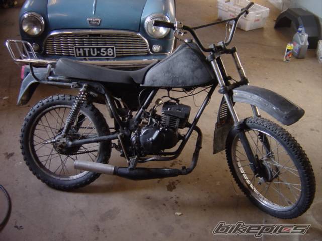 Photo 239242