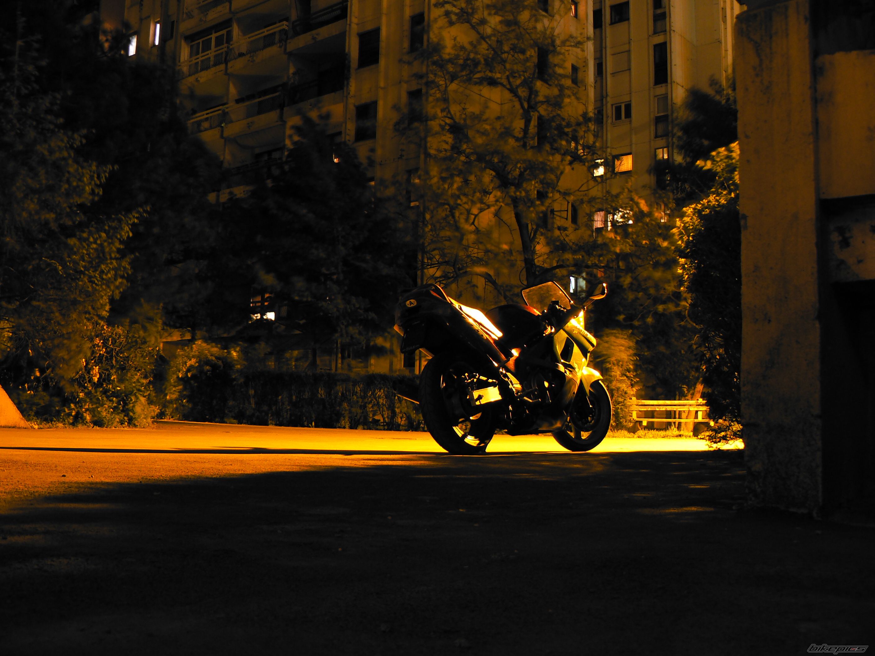 Photo 2392422