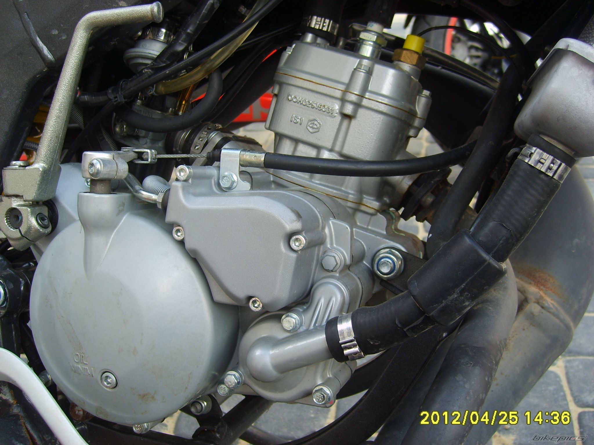 Photo 2392439