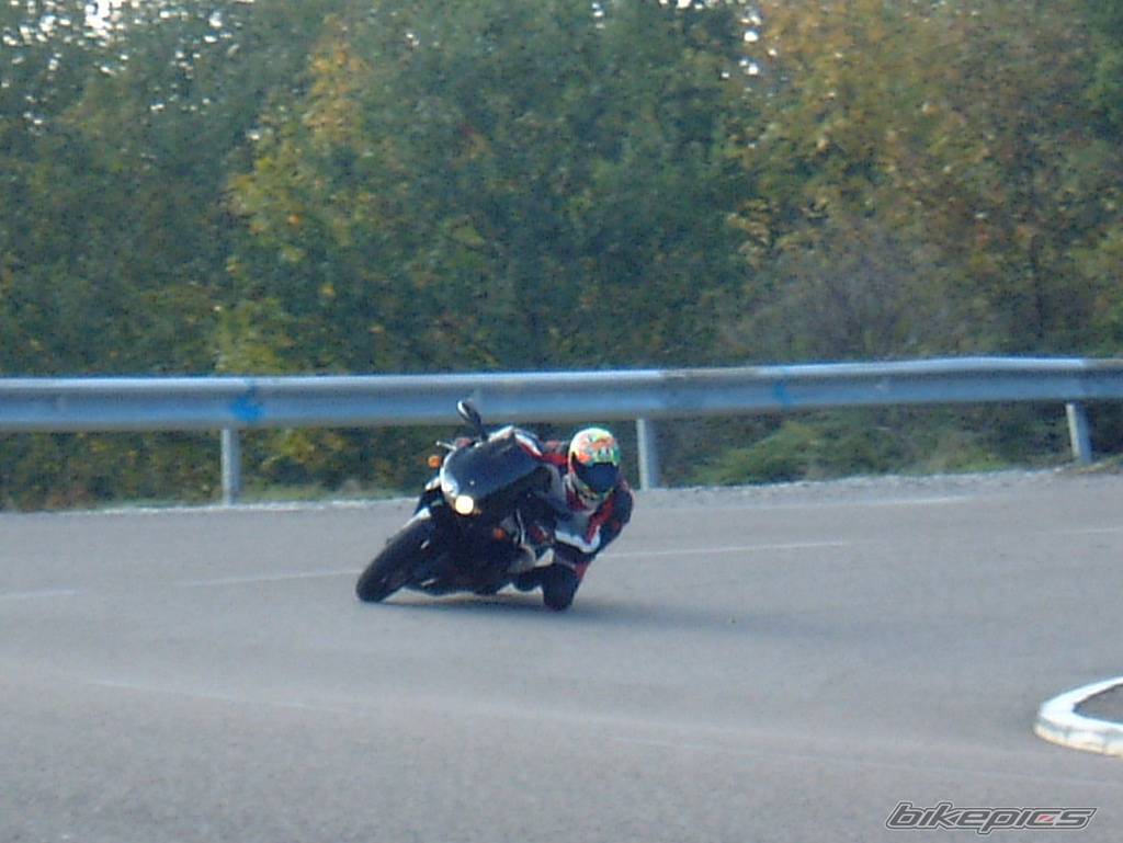 Photo 239252
