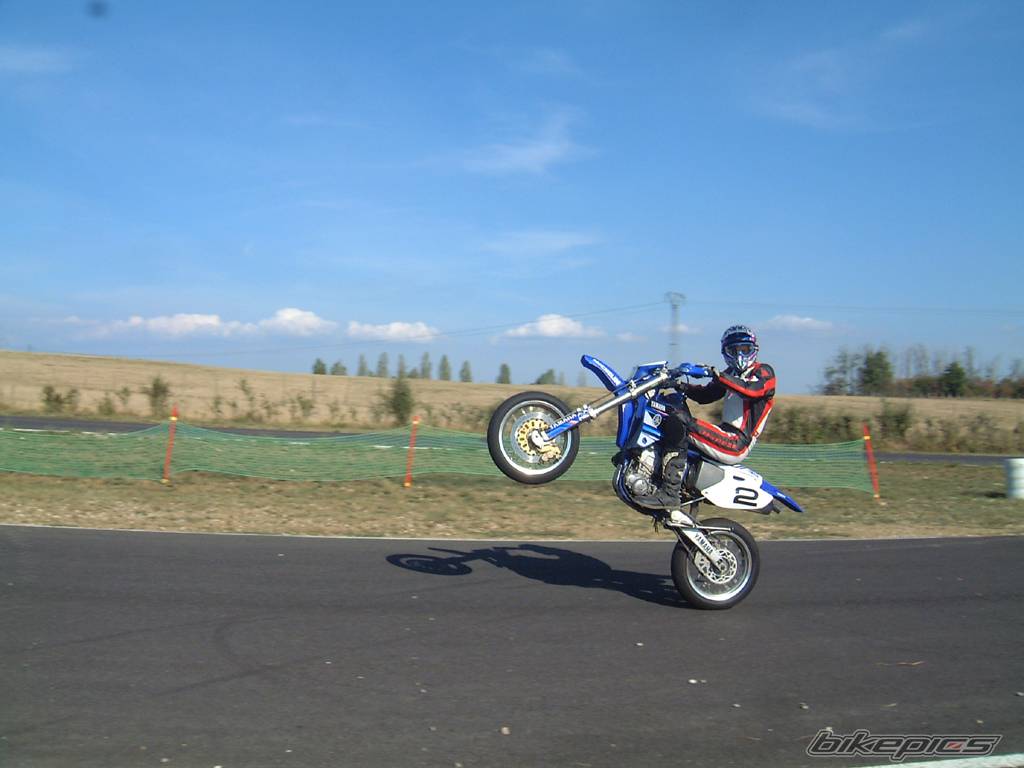 Photo 239253