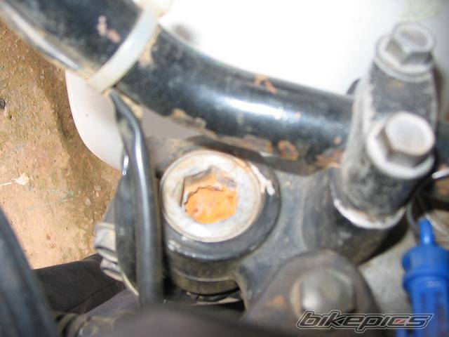 Photo 239254