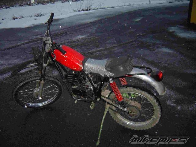 Photo 239256