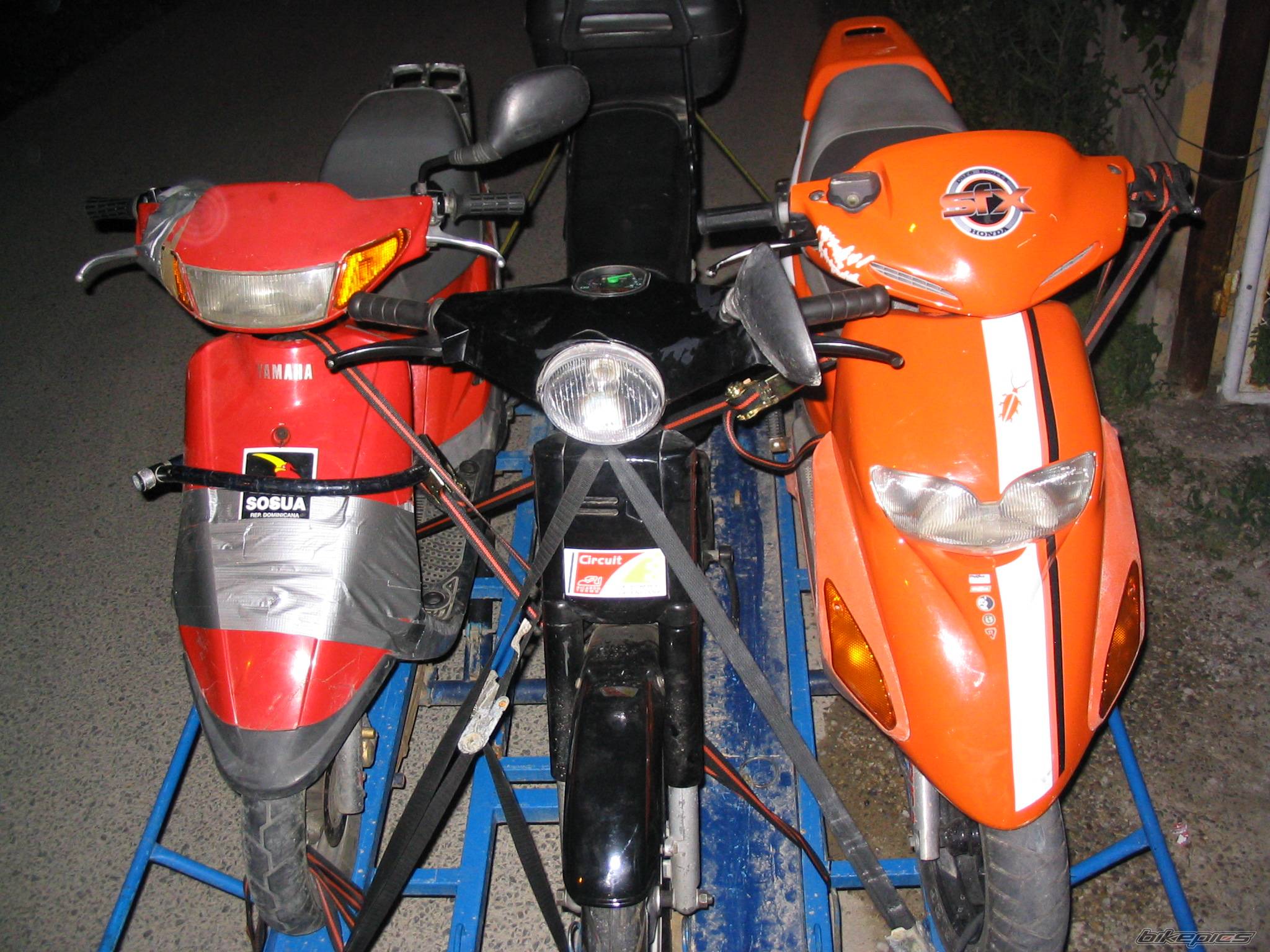 Photo 239276
