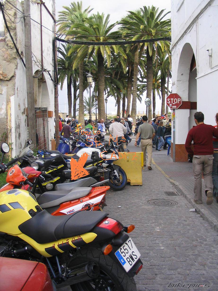 Photo 239277