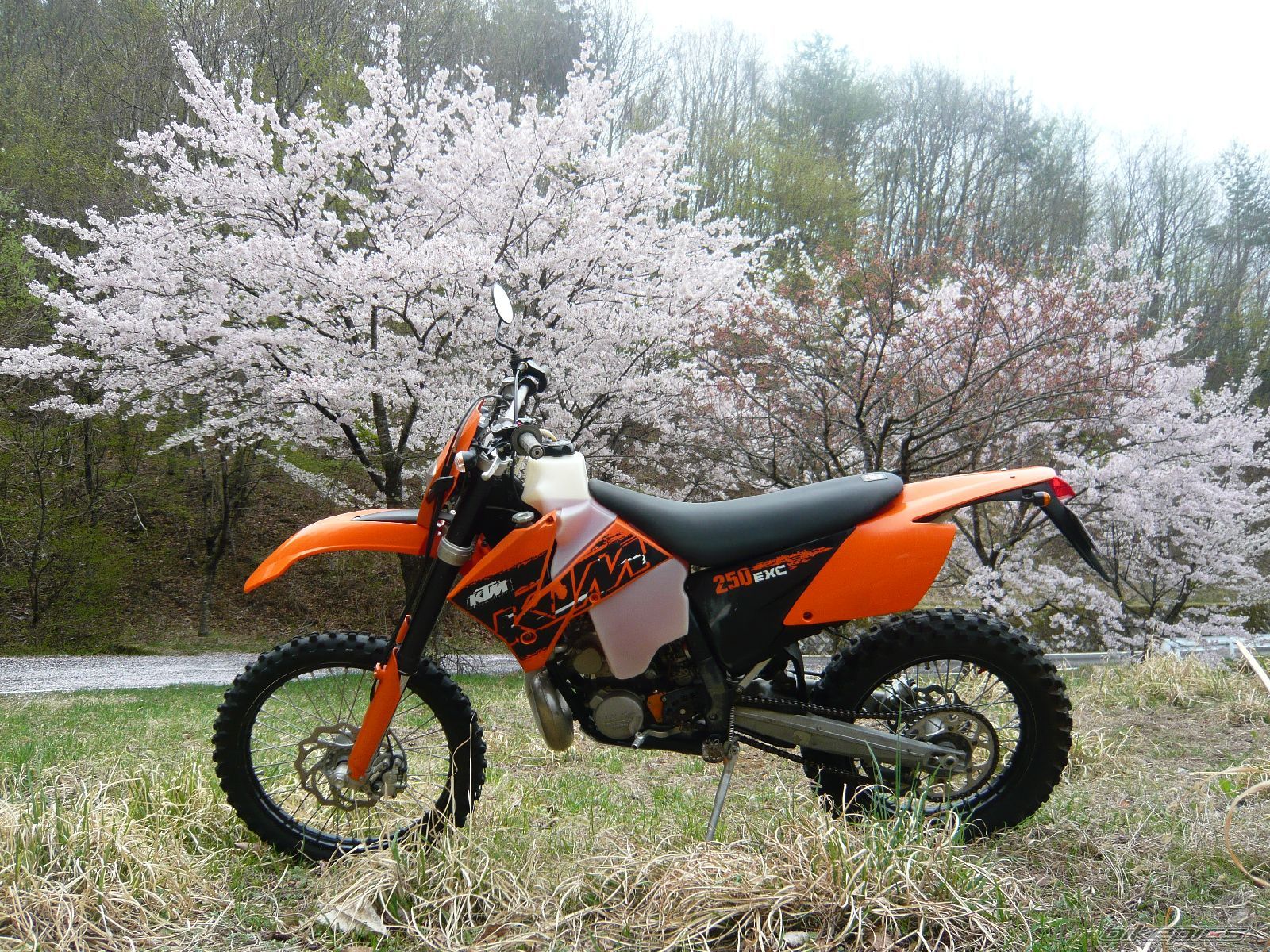 Photo 2392774