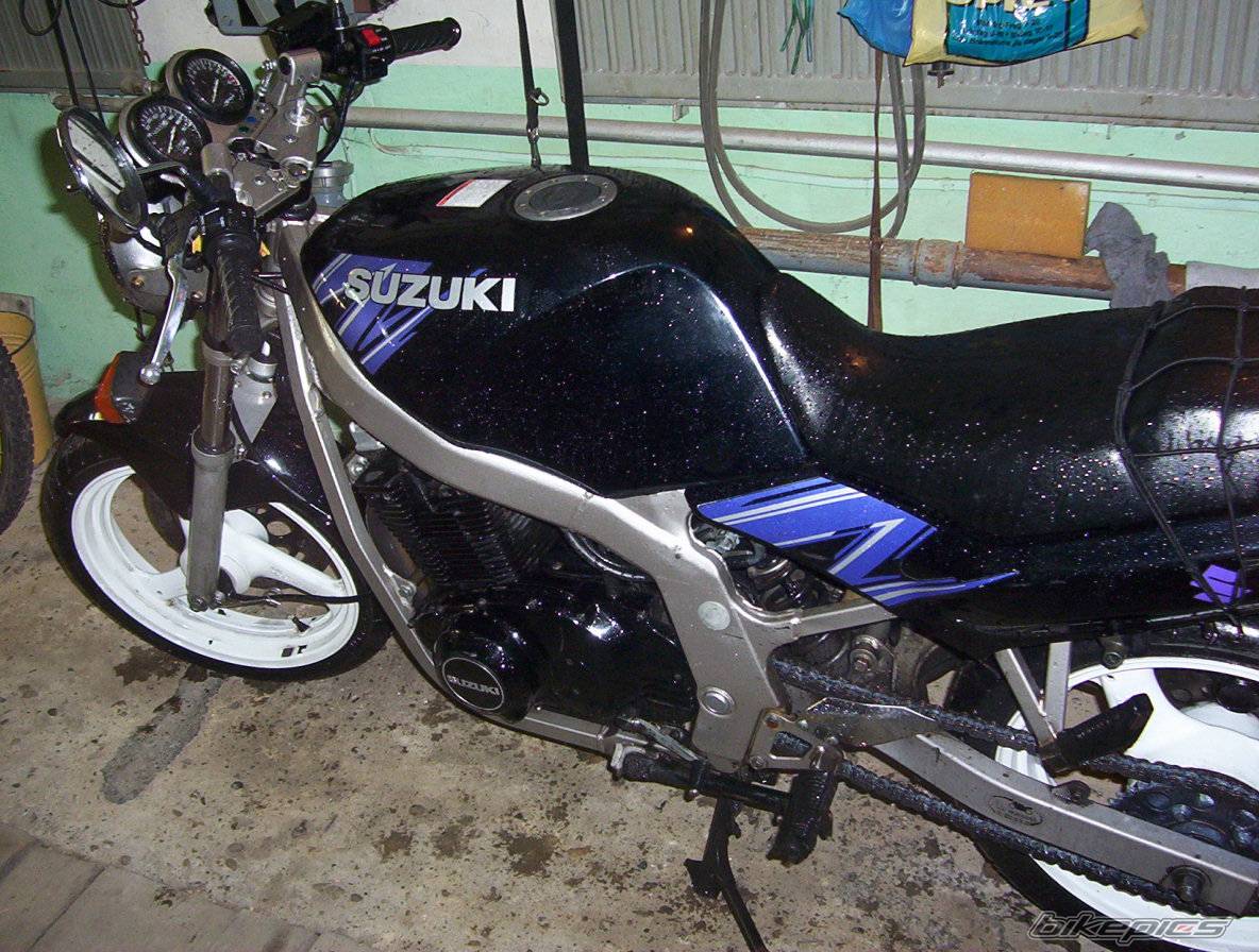 Photo 239284