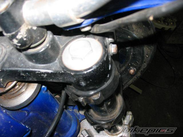 Photo 239290