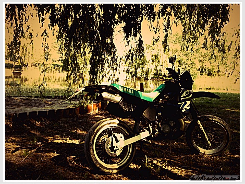 Bike Photo 2392927