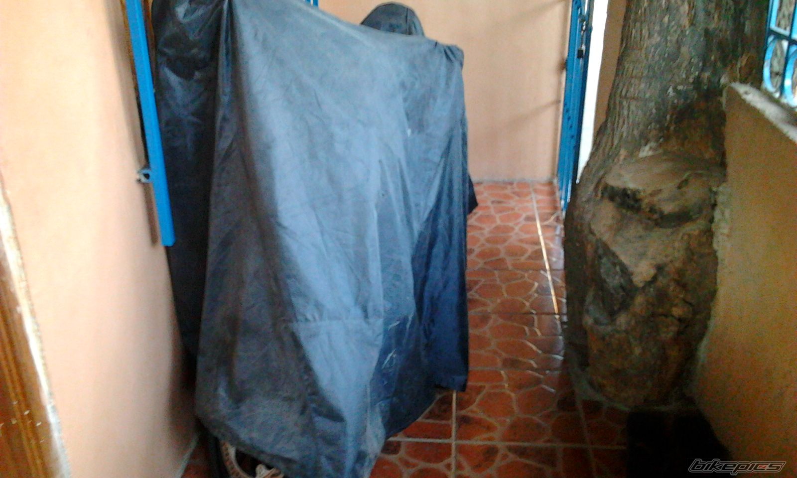 Photo 2392957
