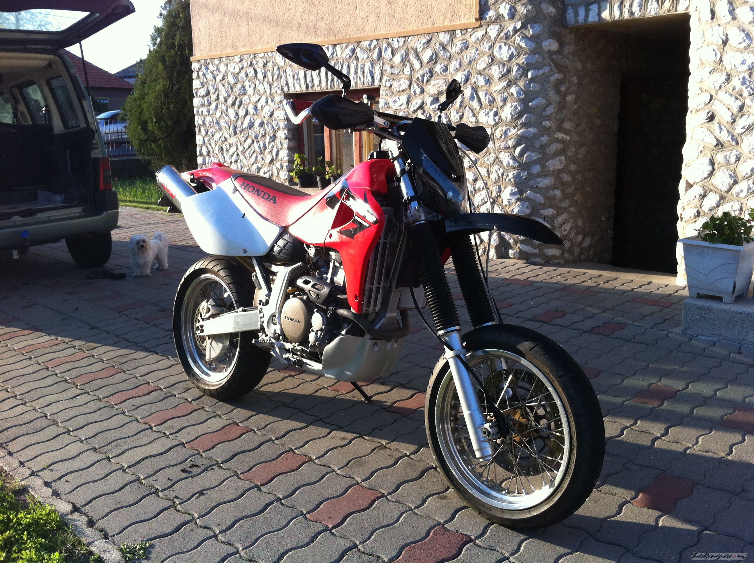 Photo 2392993