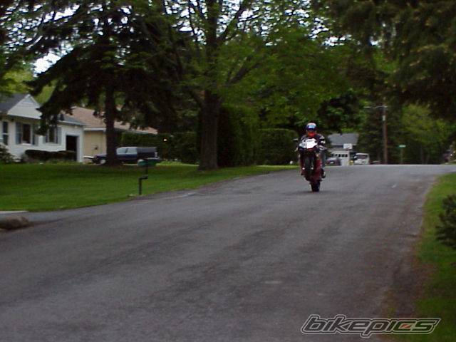 Photo 2393