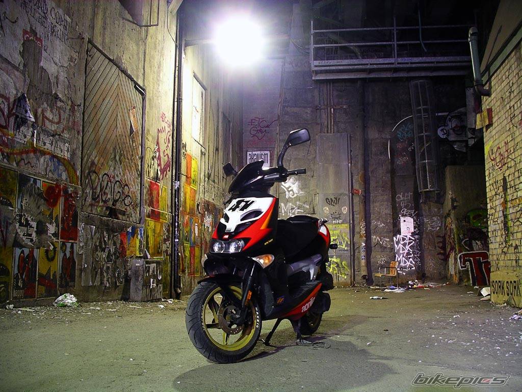 Bike Photo 239304