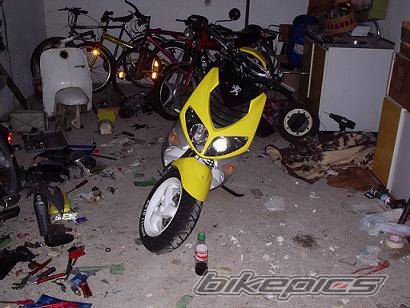Photo 239306