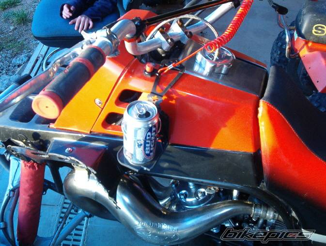 Photo 239308