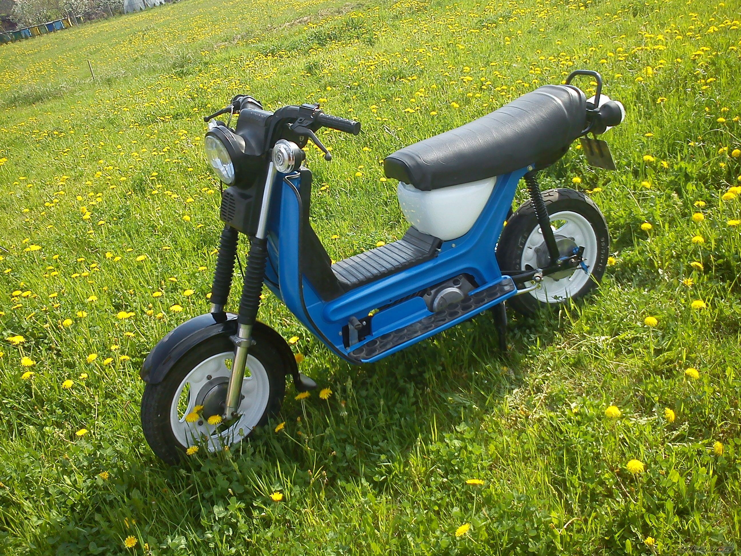 Photo 2393189