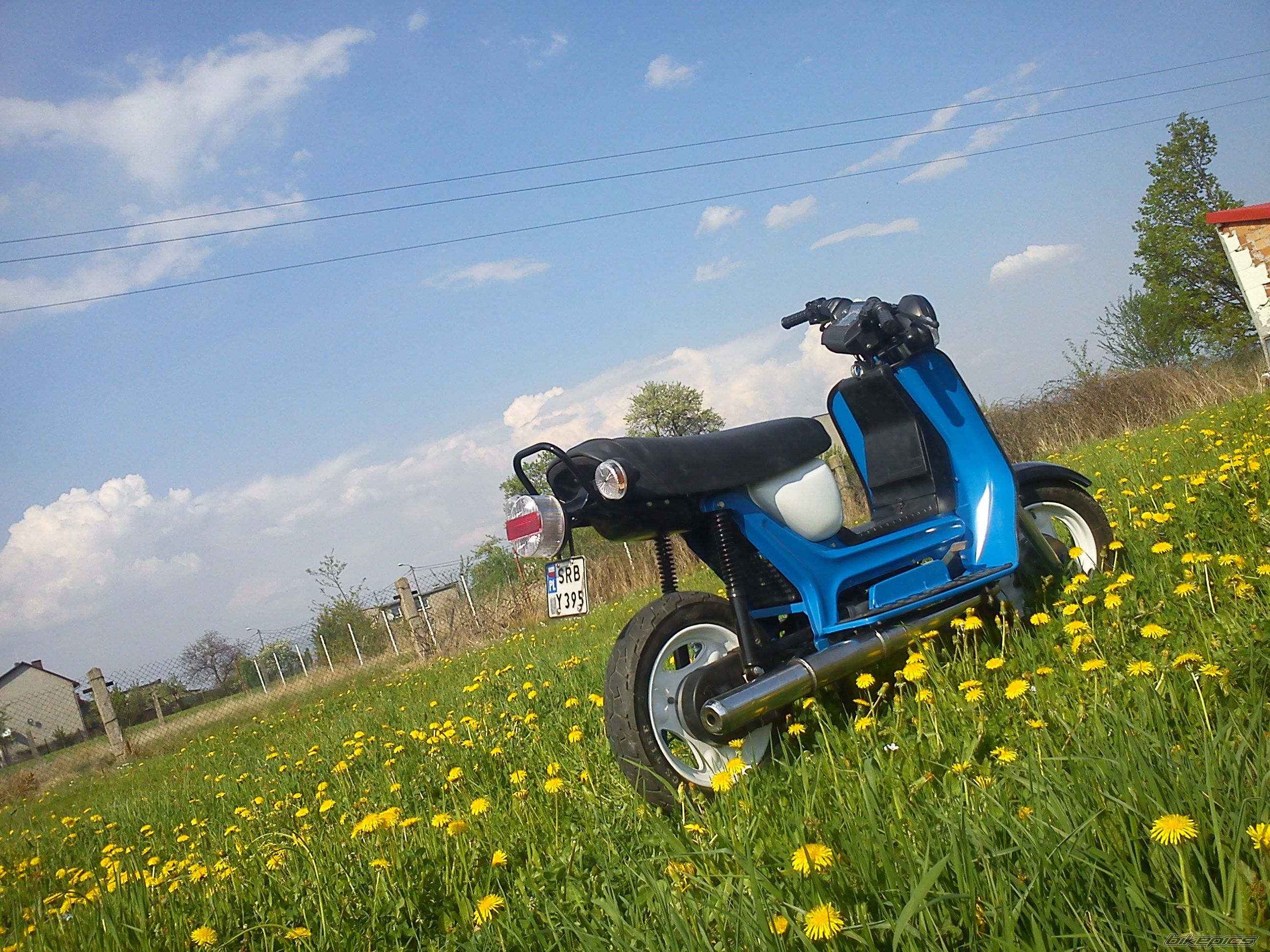 Photo 2393194