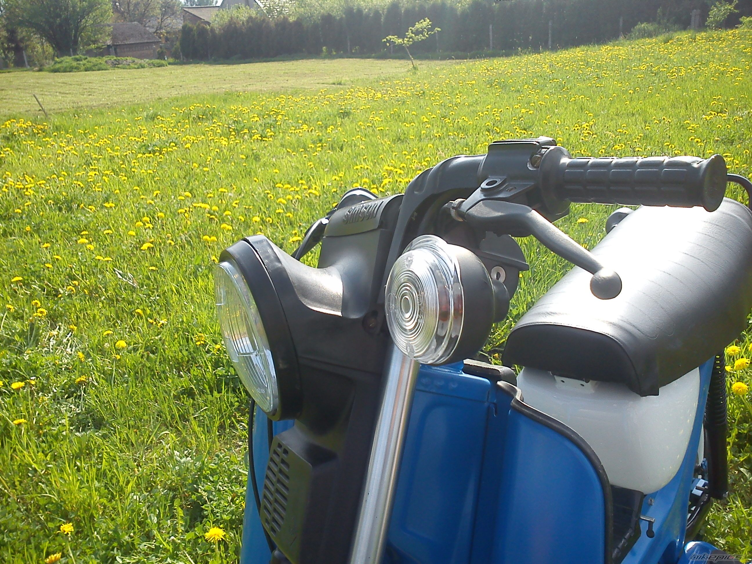 Photo 2393199