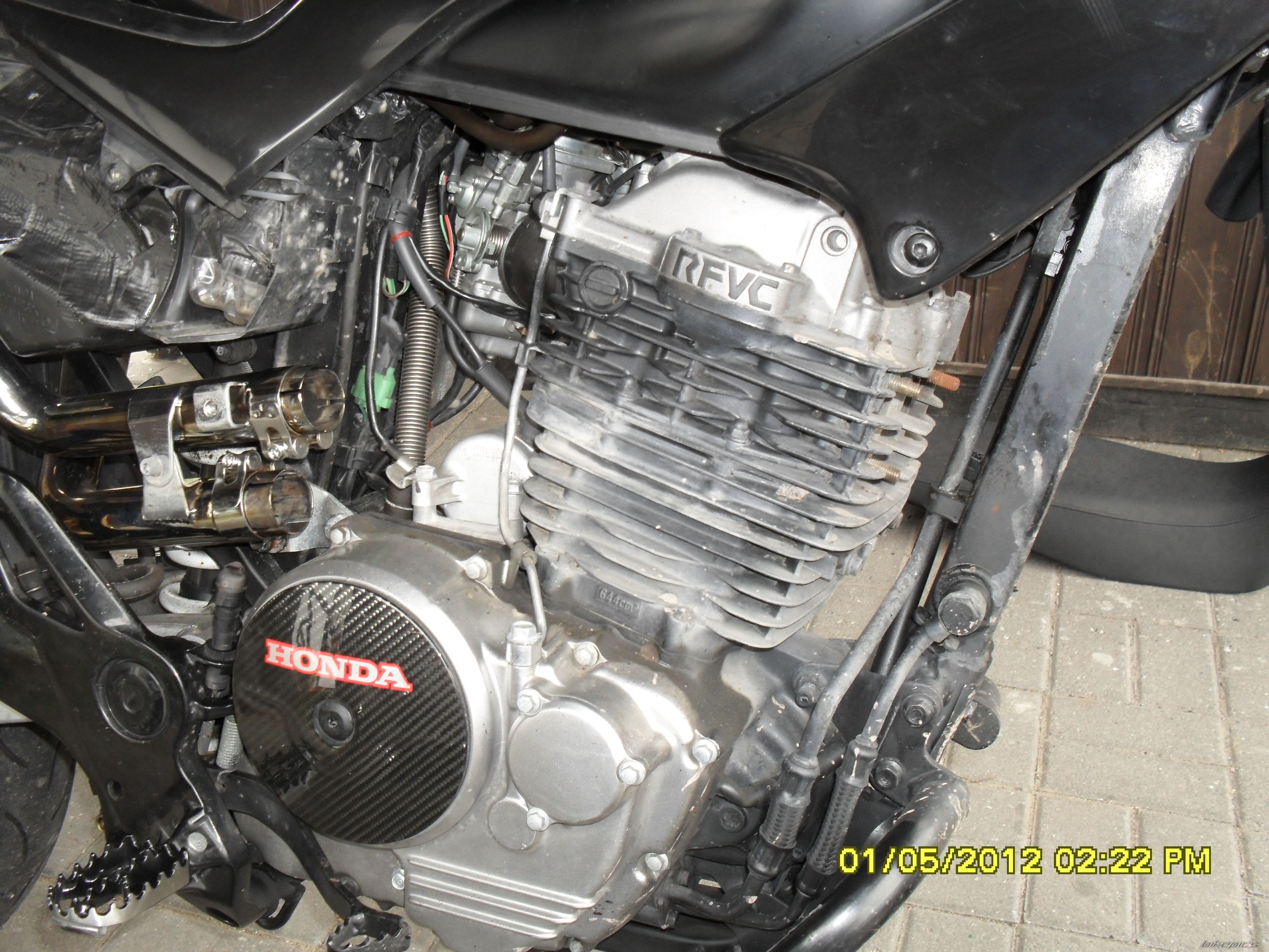 Photo 2393240
