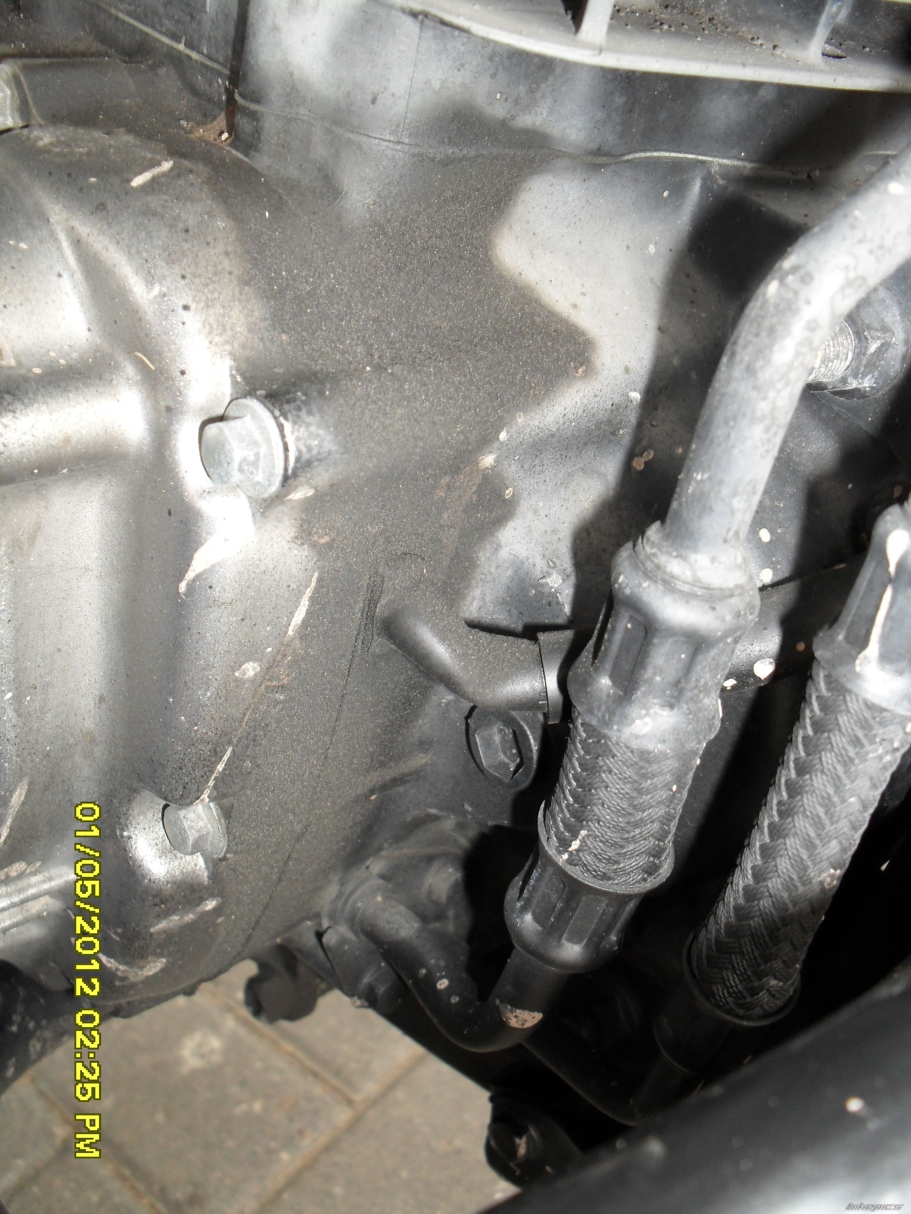 Photo 2393248