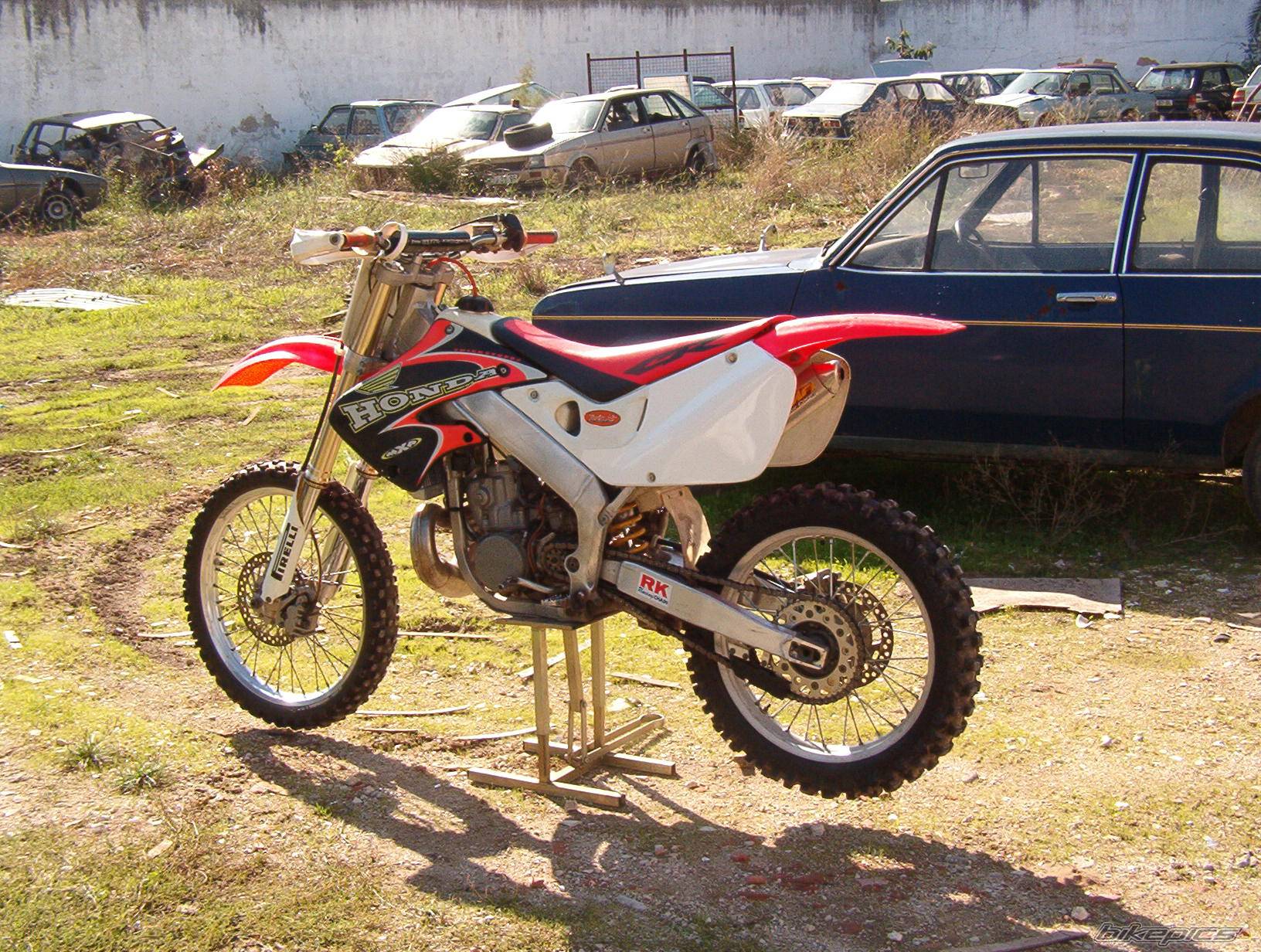 Photo 239329