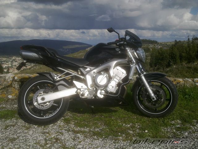 Photo 2393327