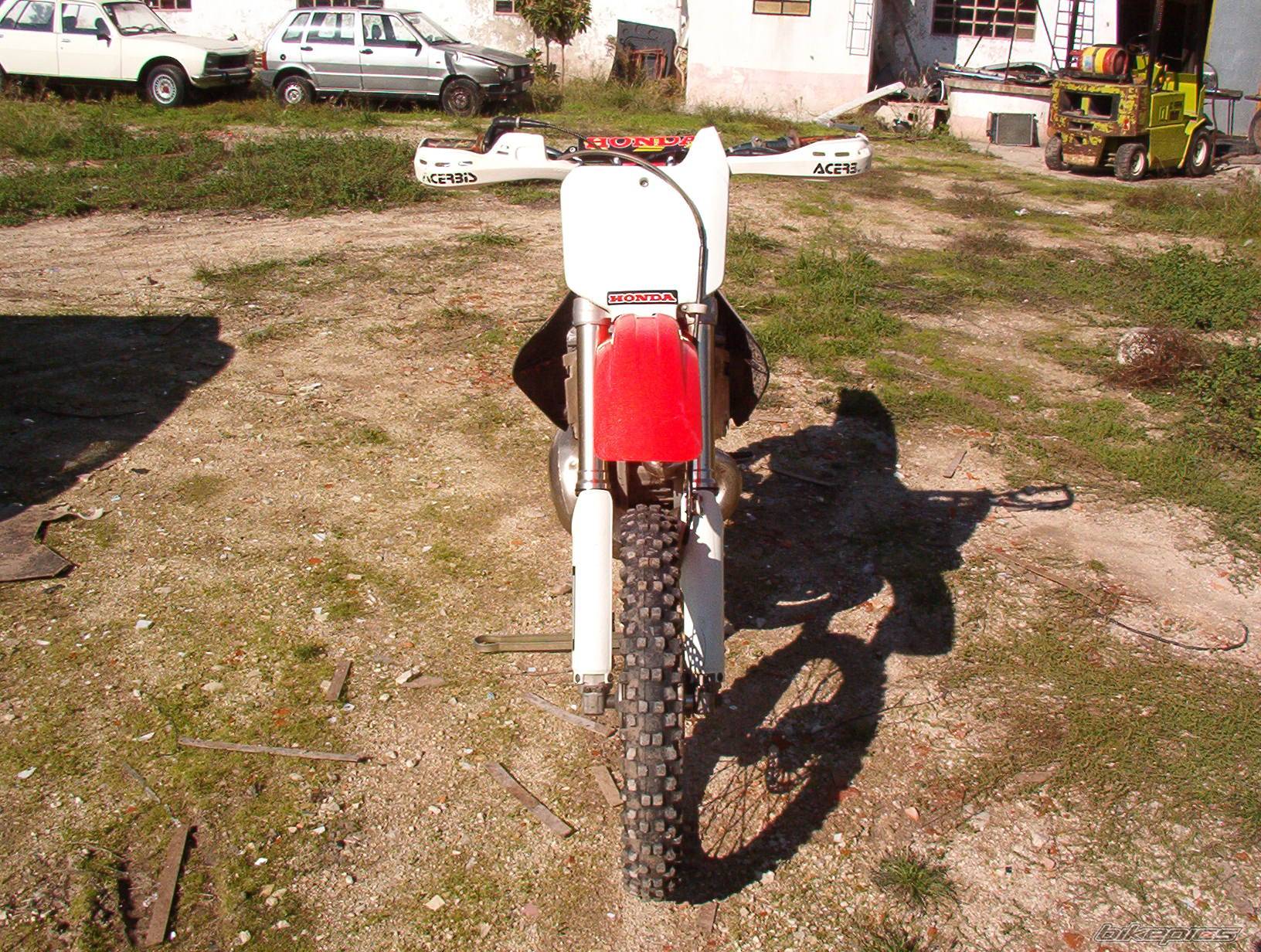 Photo 239333