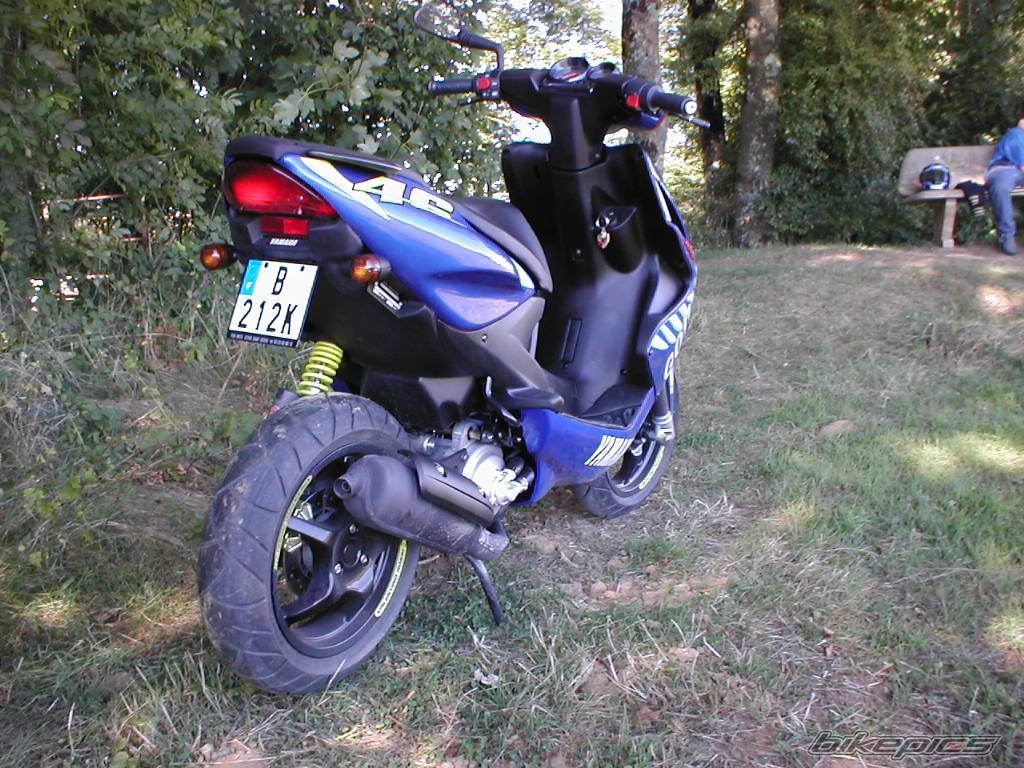 Photo 239337