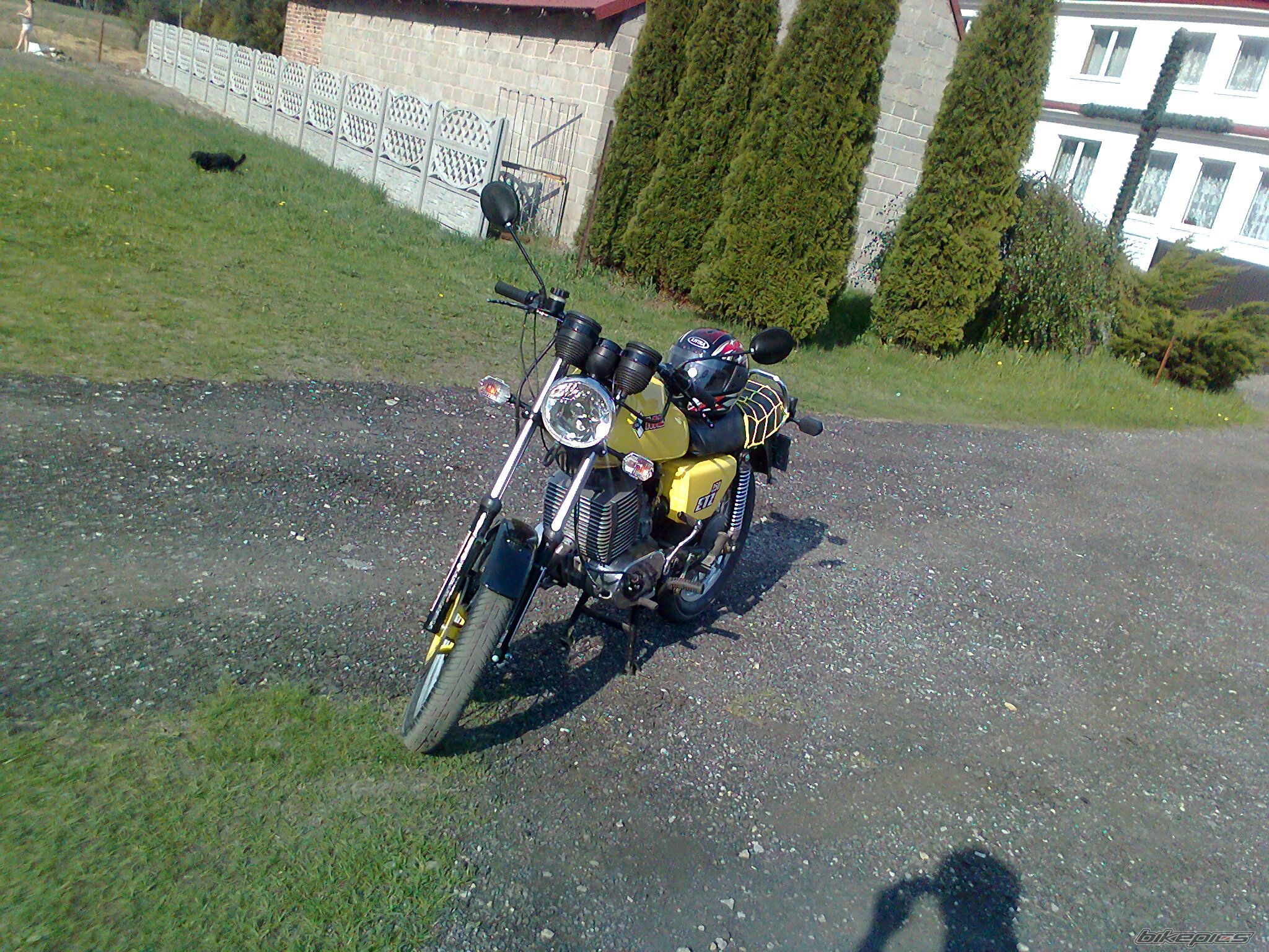 Photo 2393378