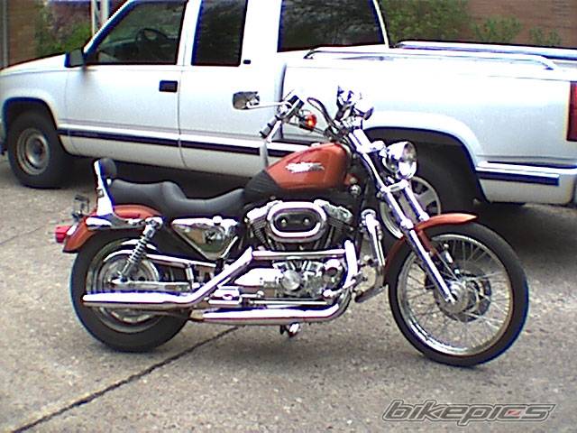 Photo 23934