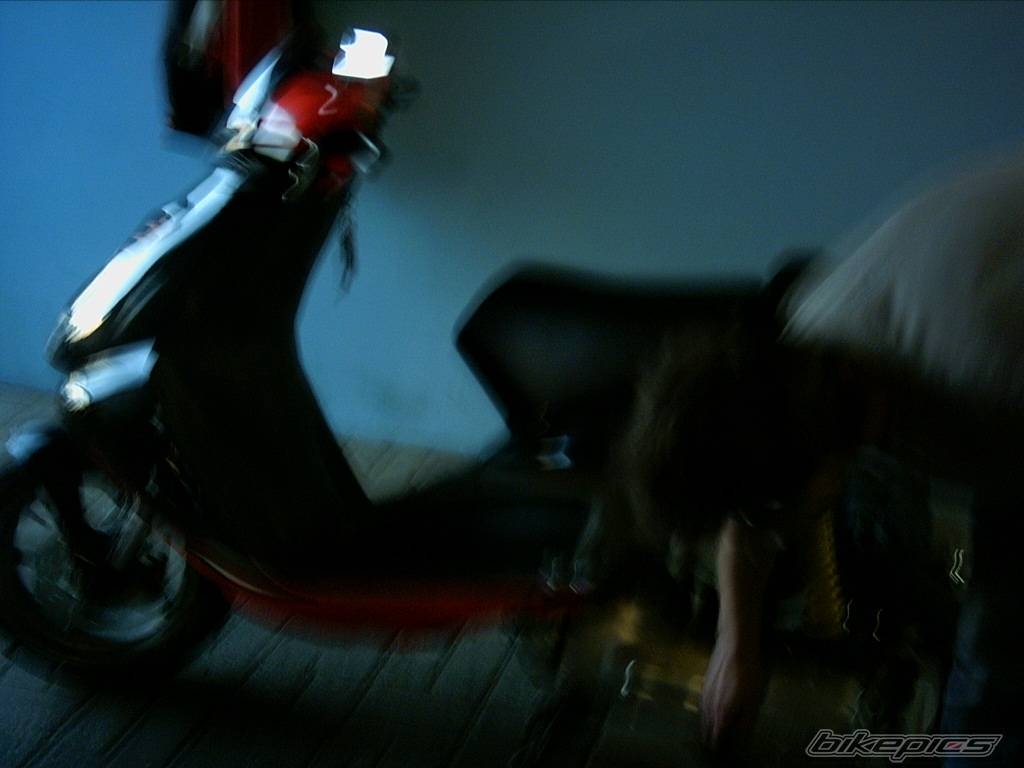 Photo 239342