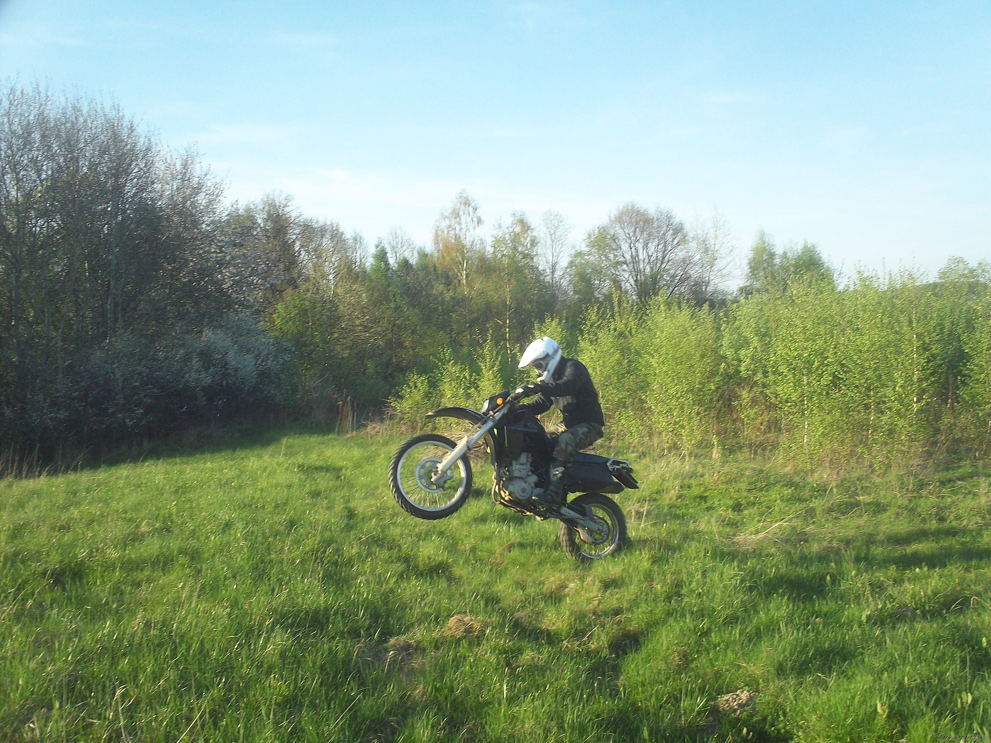 Photo 2393425