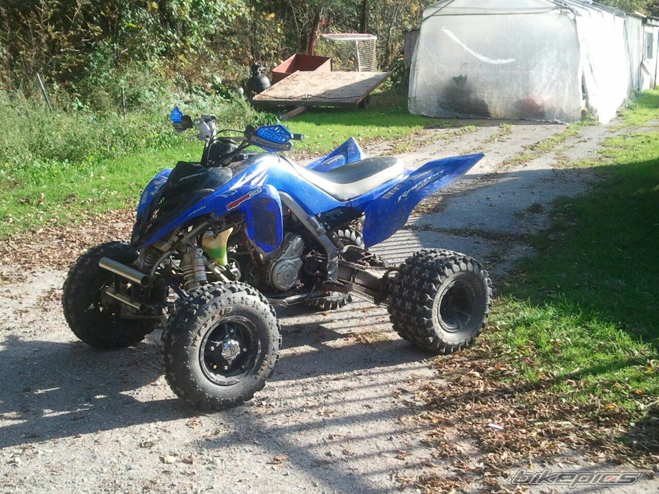 Photo 2393465