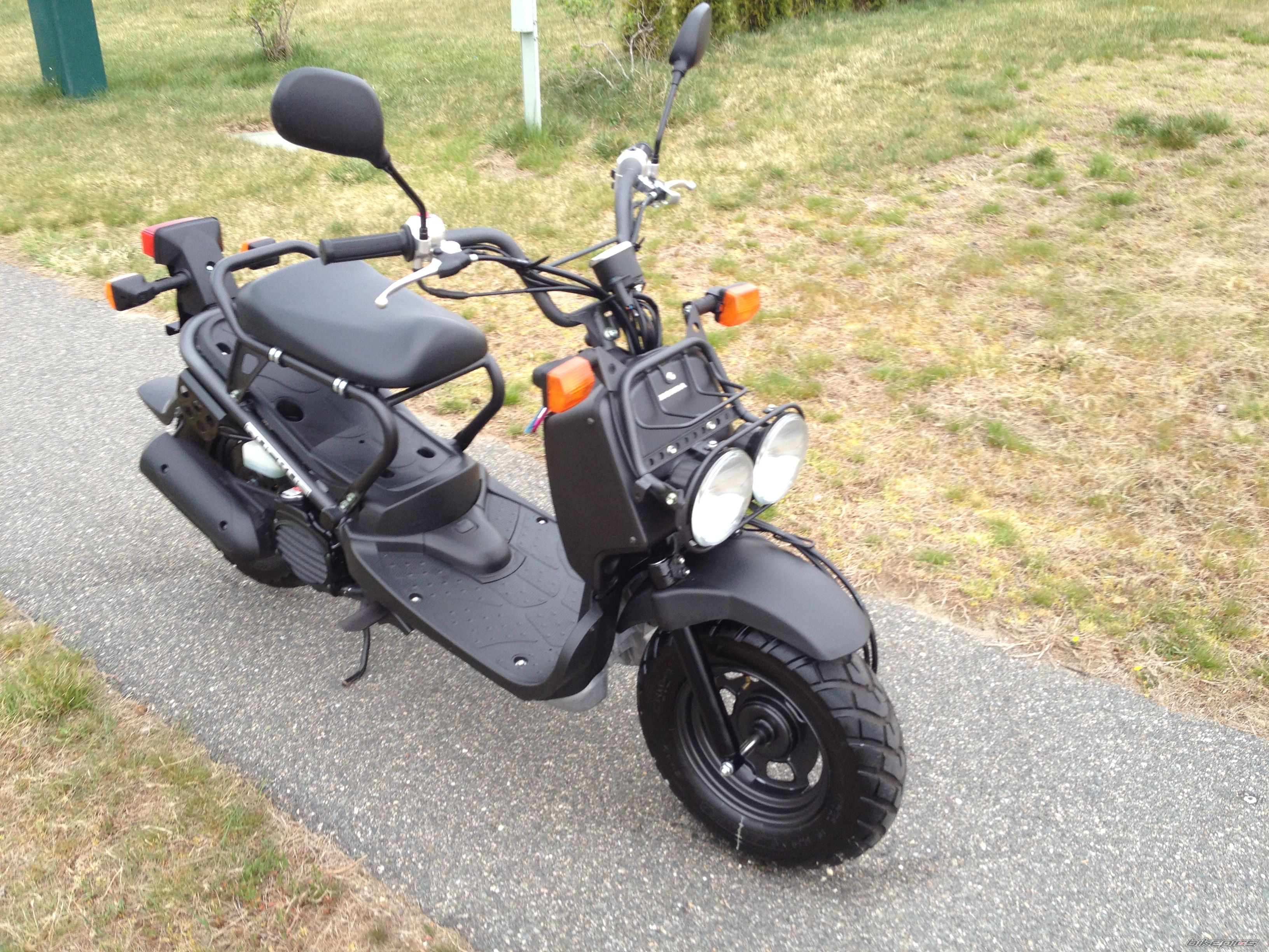 Photo 2393482