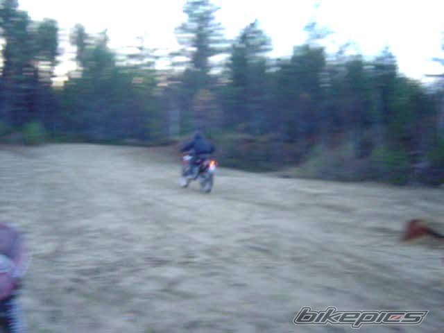 Photo 239349