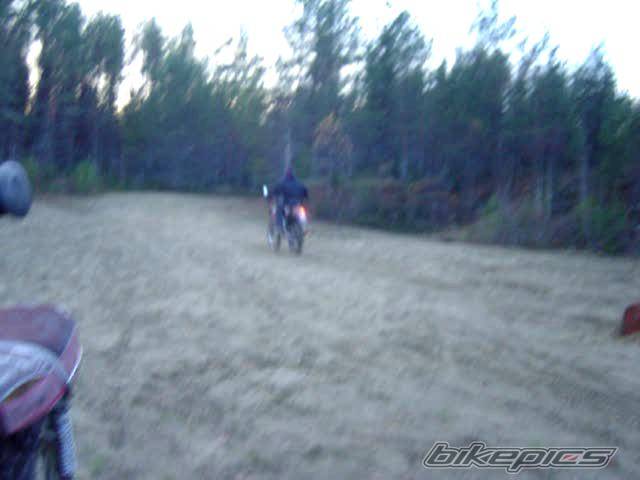 Photo 239350