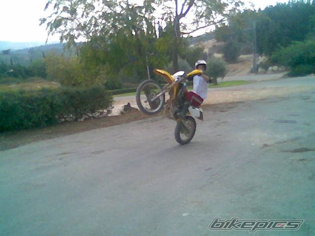 Photo 239355