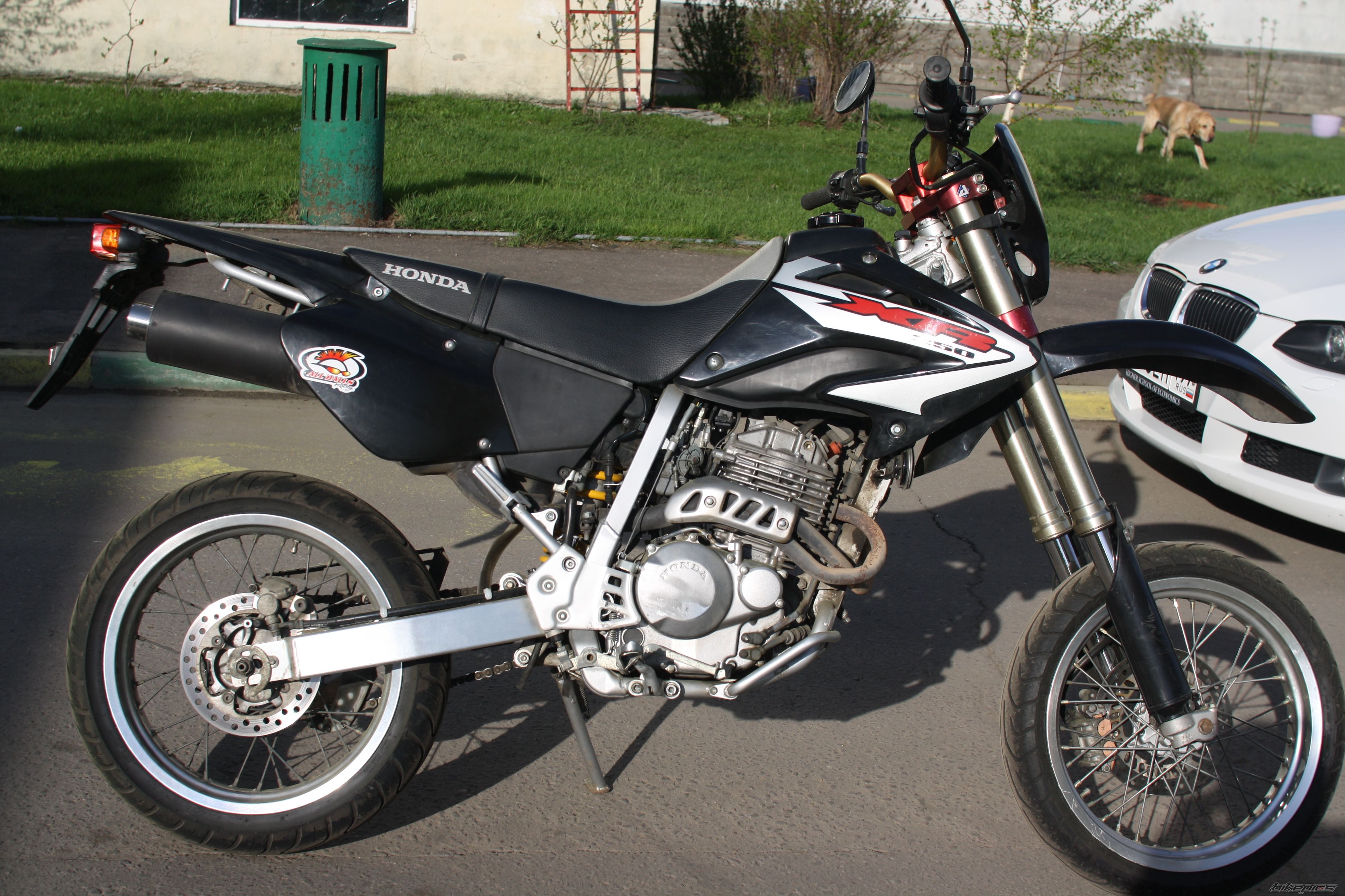 Bike Photo 2393556