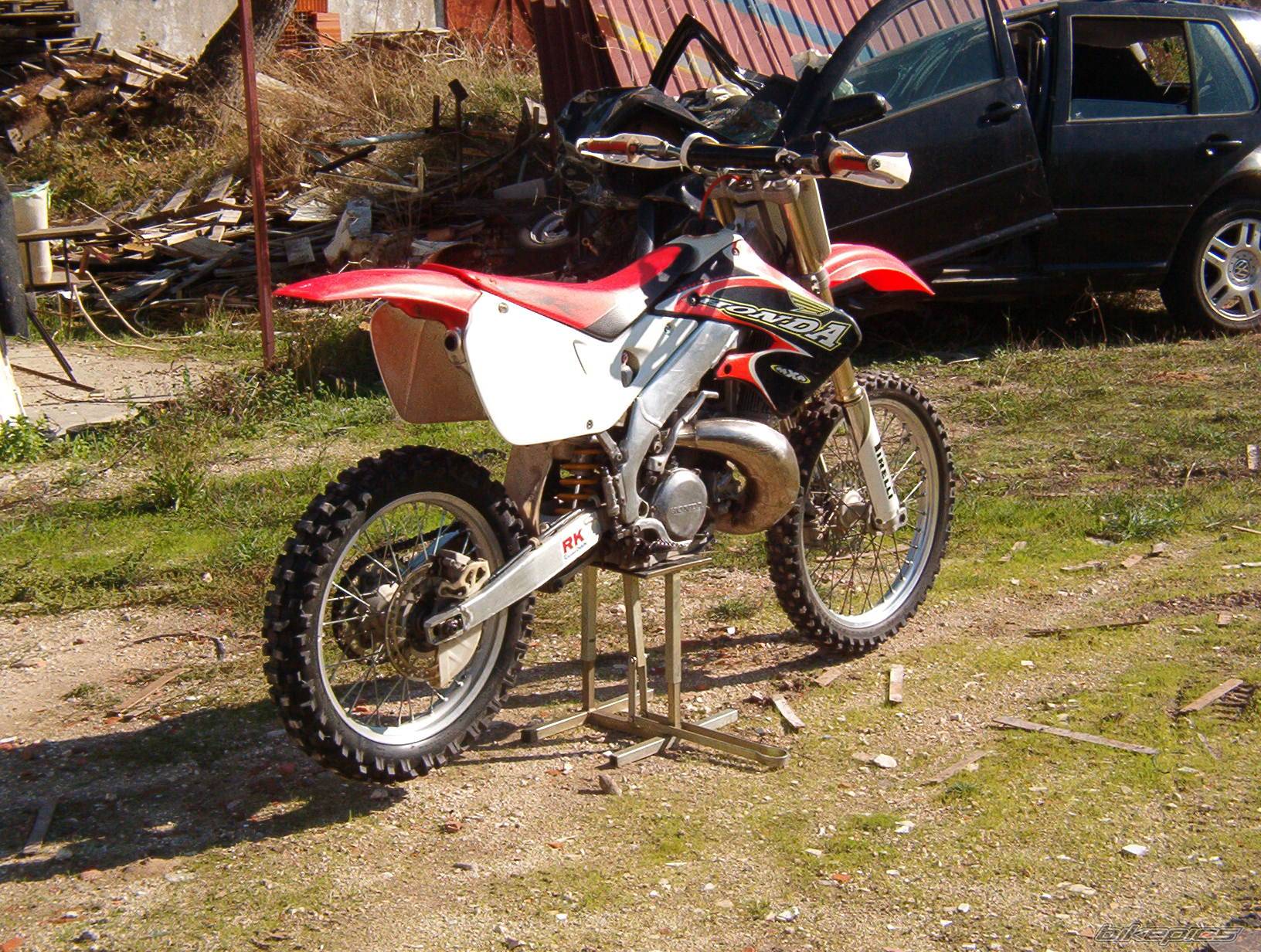 Photo 239363