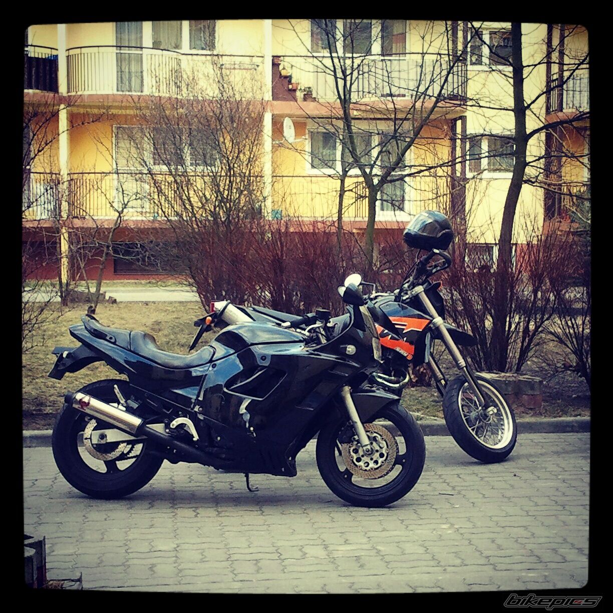 Photo 2393673