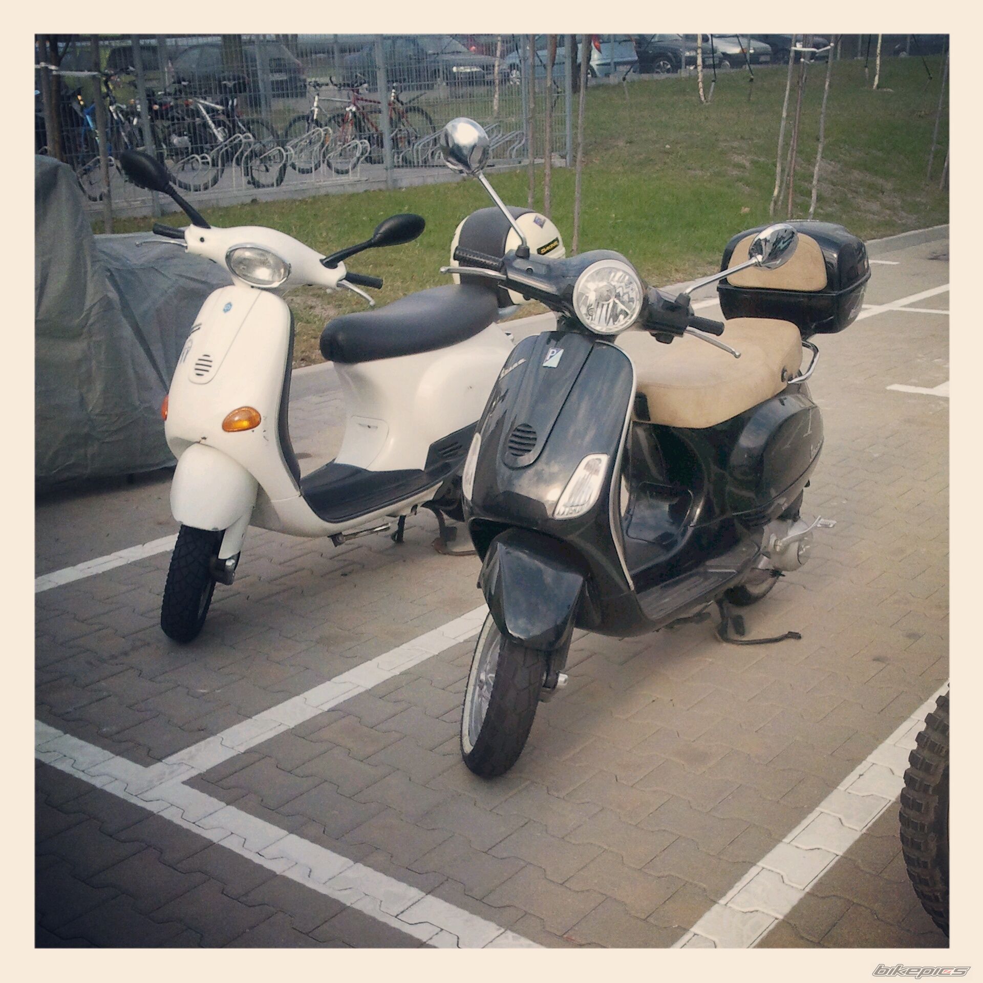 Photo 2393685
