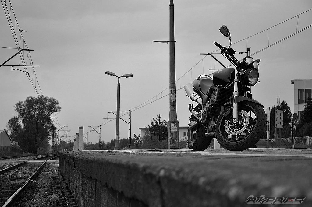 Photo 2393695