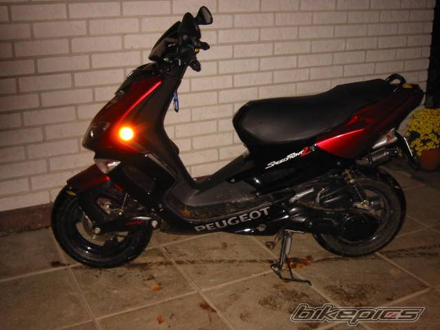 Photo 239370