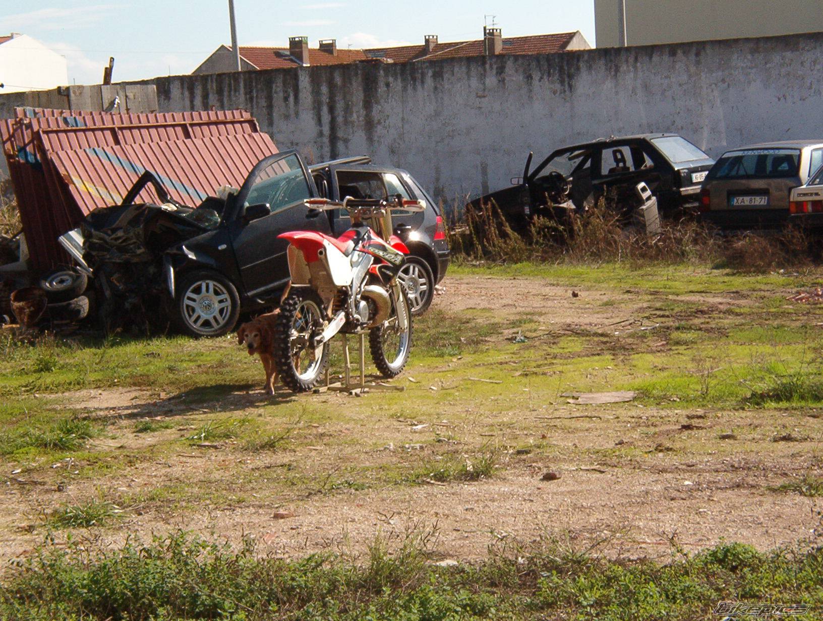 Photo 239376