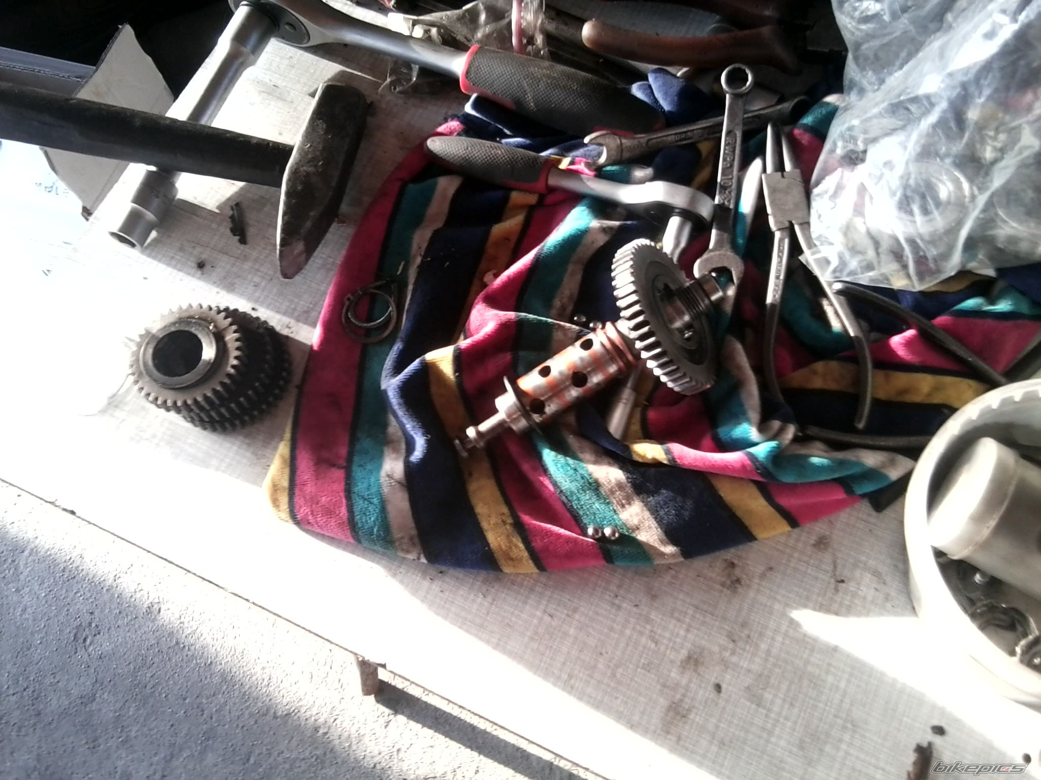 Photo 2393792