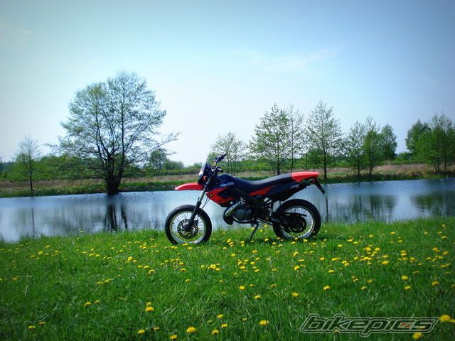 Photo 2393797
