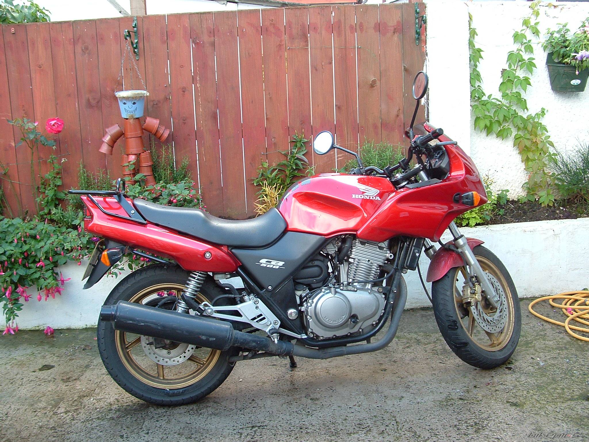 Photo 239384